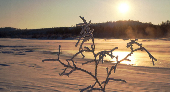 Lappland, DAS Winterwunderland 3
