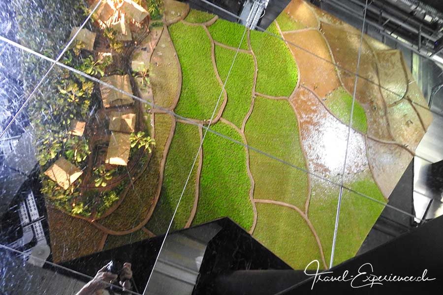 Detail, Projektion von Reisterrassen