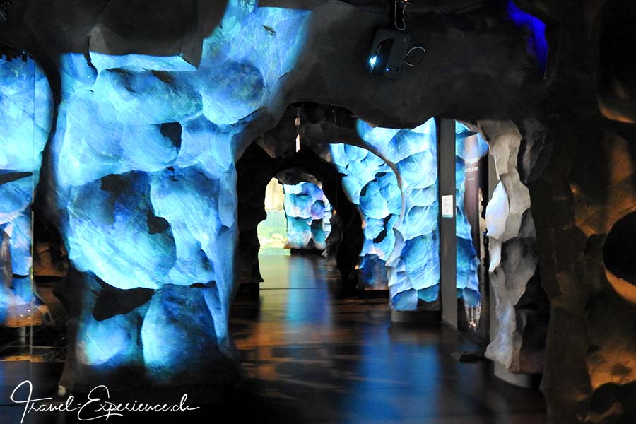 Innenaufnahme, Einblick in die Ausstellung Gletscherwelt im Aquatis