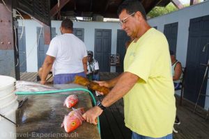 Personenaufnahme, Fischer macht Fische kĂĽchenfertig
