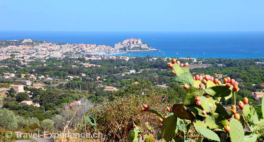 Korsika, Calvi