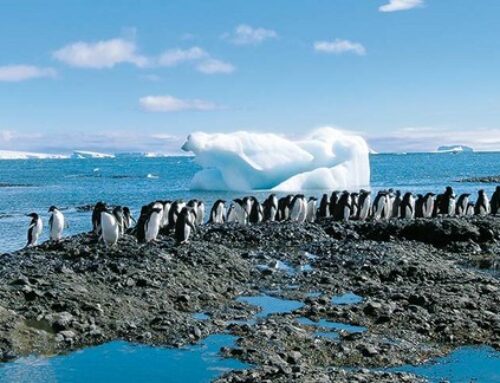 Antarktis – die andere Welt