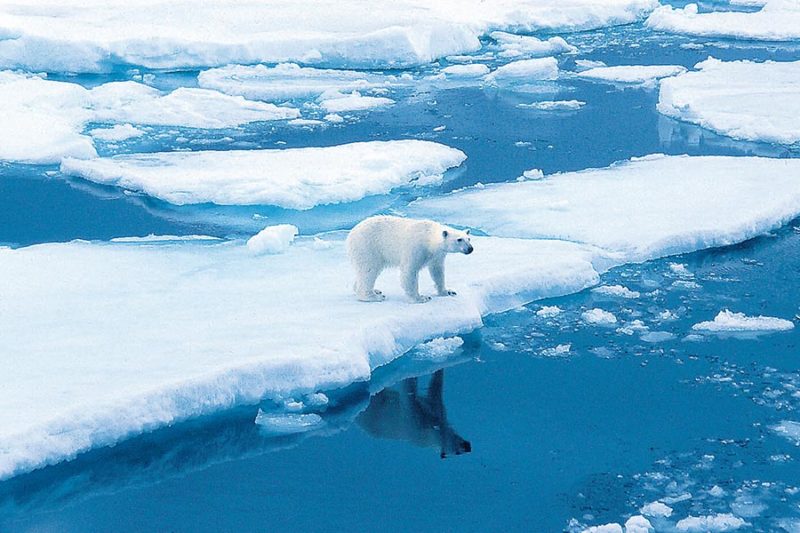 Arktis – Antarktis: die Unterschiede - TravelExperience.ch