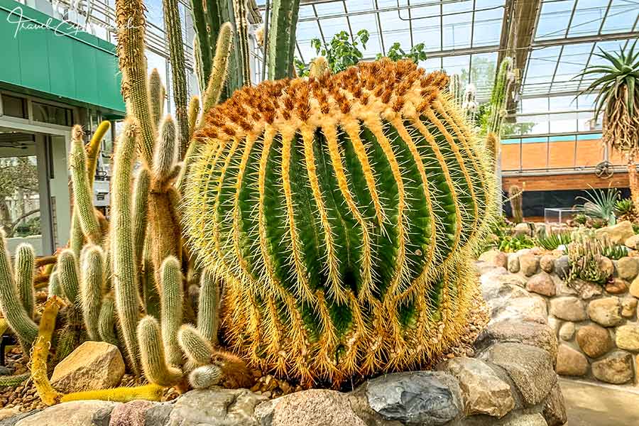 Ann Arbor, Matthaei Botanical Garden