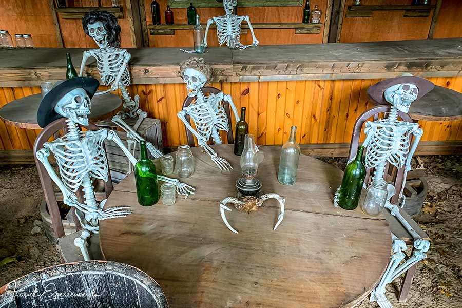 Ann Arbor, Wiards Orchards, Hayride