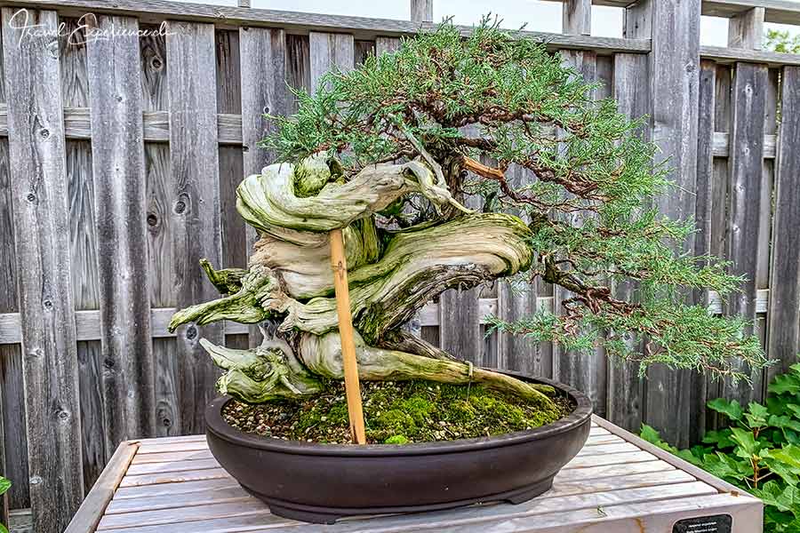 Ann Arbor, Matthaei Botanical Garden