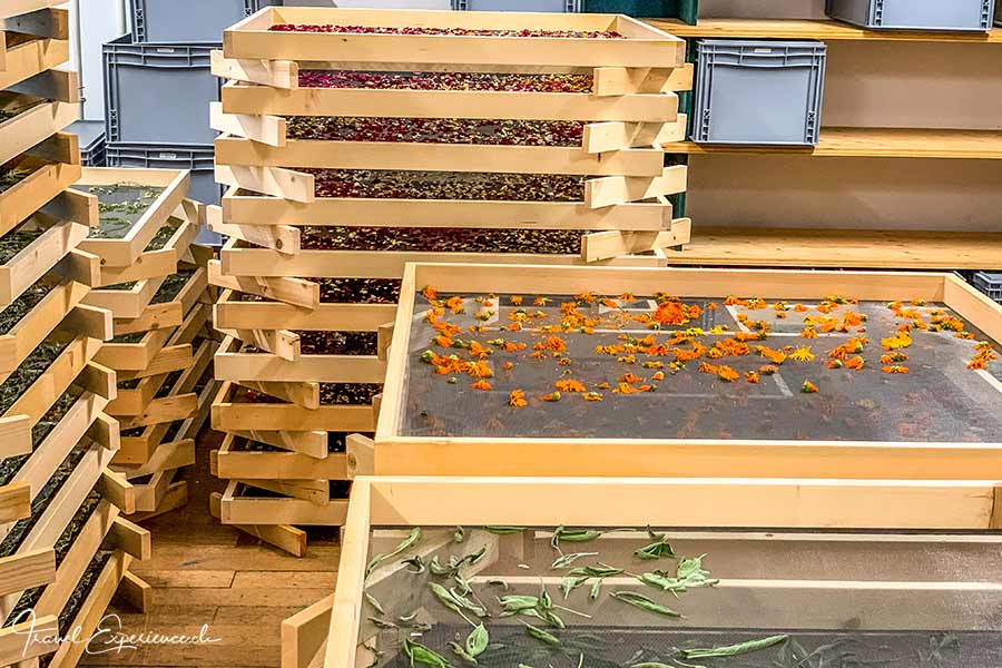 Kloster Disentis, Trocknerei