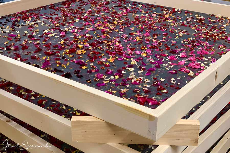 Kloster Disentis, Trocknungsrahmen