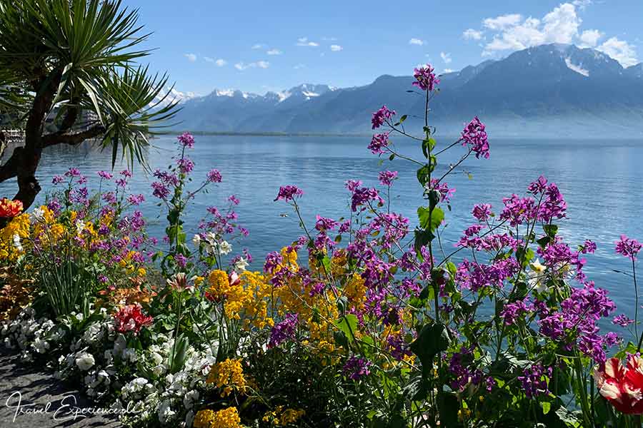 Montreux, Promenade, Blumen