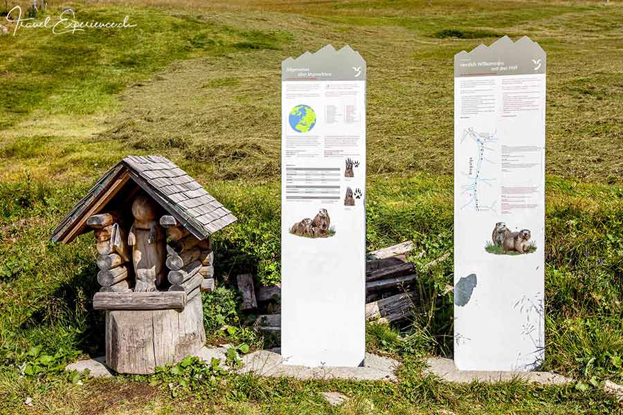 Viamala, Averstal, Murmeltierlehrpfad