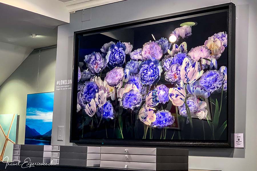 LUMAS Galerie, Zürich, Tulpenbild