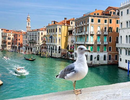 Venedig – Kanäle, Krimis und ein Commissario