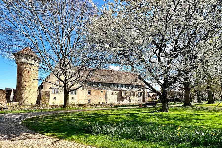 Deutsche Fachwerkstrasse, Michelstadt, Diebsturm, Kellerei