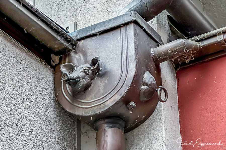 Deutsche Fachwerkstrasse, Seligenstadt, Regentraufe mit Schwein