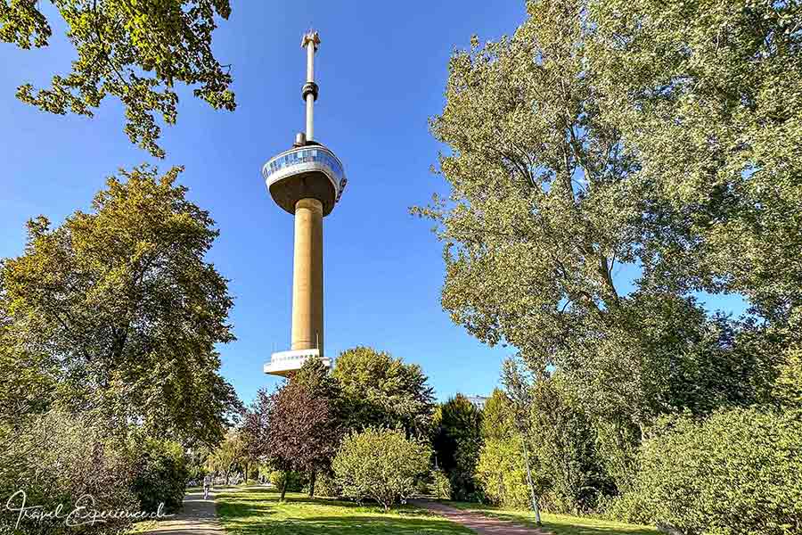 MS Thurgau Gold, Rhein, Rotterdam, Euromast