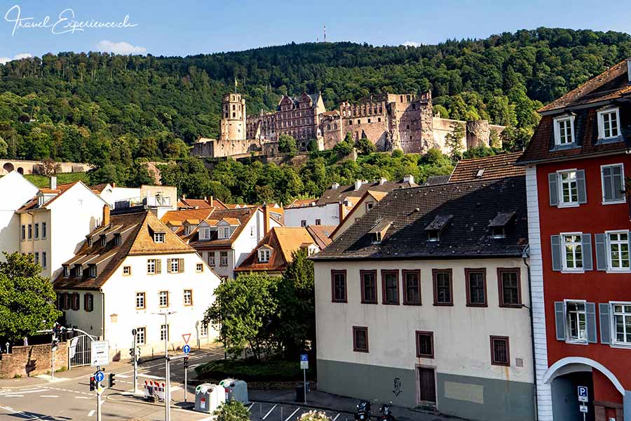 MS Thurgau Gold, Rhein, Schloss Heidelberg