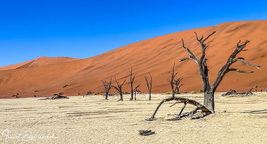 Namibia, Dead Vlei, tote Bäume, Dünen