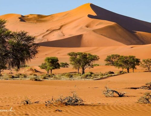 Namibia: traumhafte Wüsten und Tierparadiese