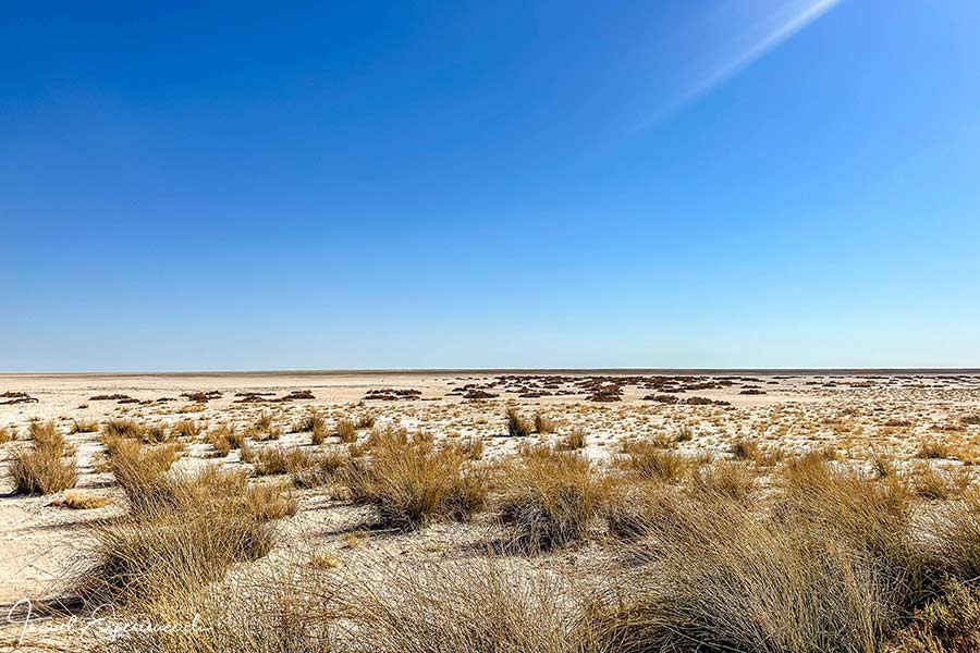 Namibia, Ongava Tented Camp, Pirschfahrt Etosha