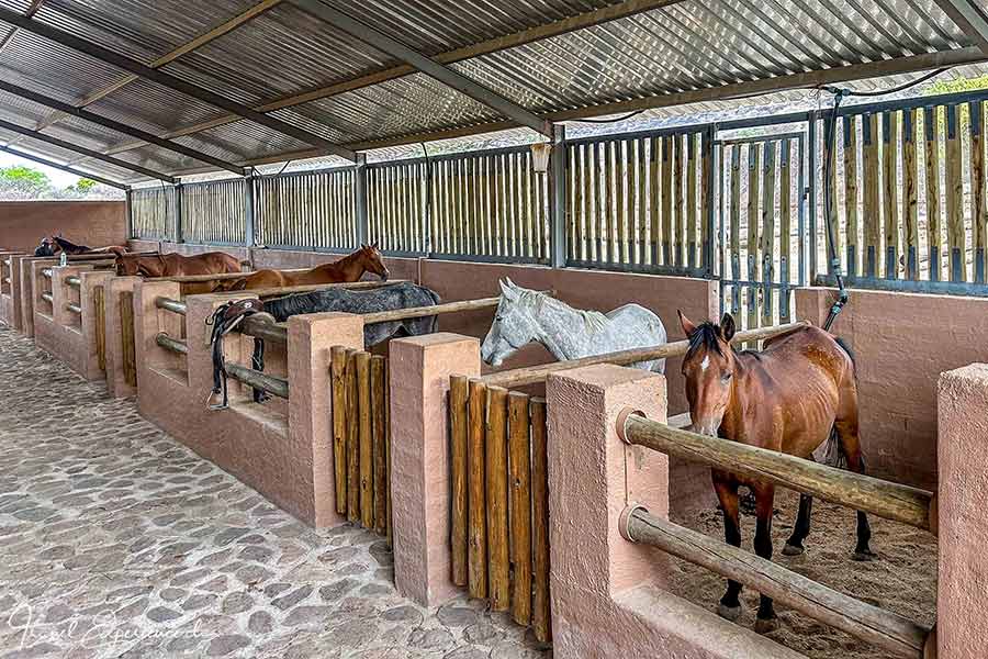 Namibia, Waterberg Guest Farm, Pferdestall