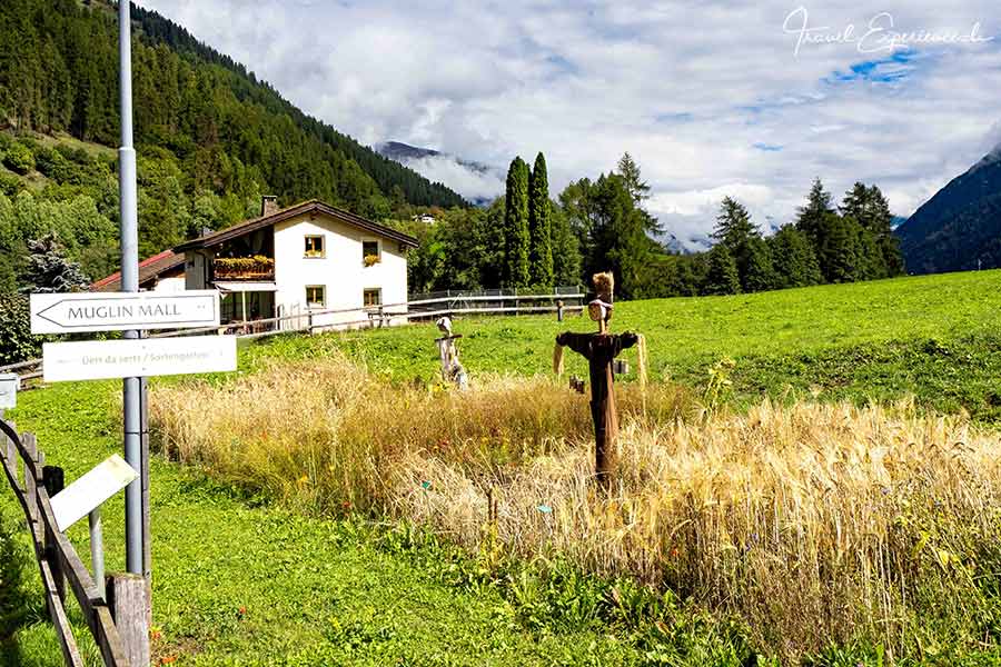 Schweiz, Val Müstair, Münstertal, Muglin Mall, Getreidesortengarten