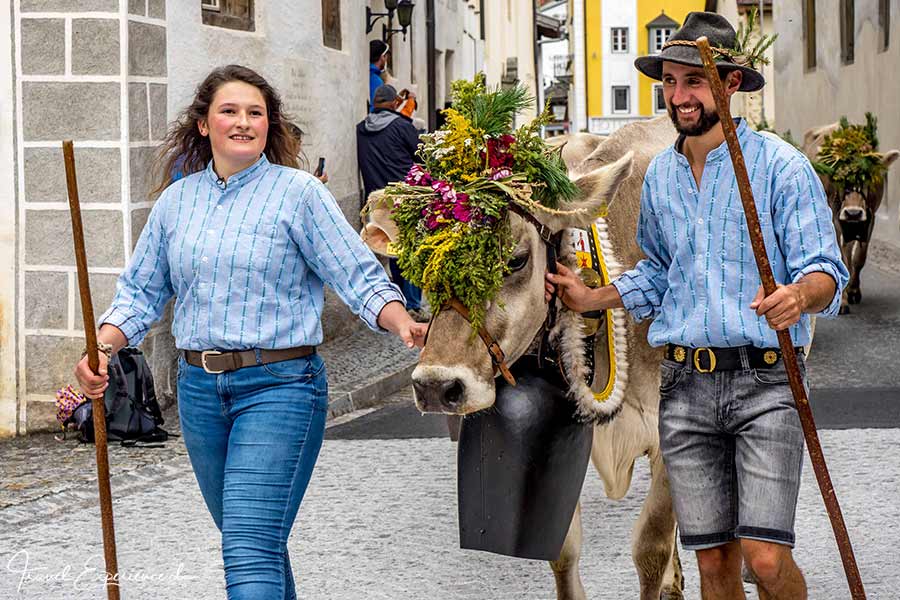 Schweiz, Val Müstair, Münstertal, Alpabzug