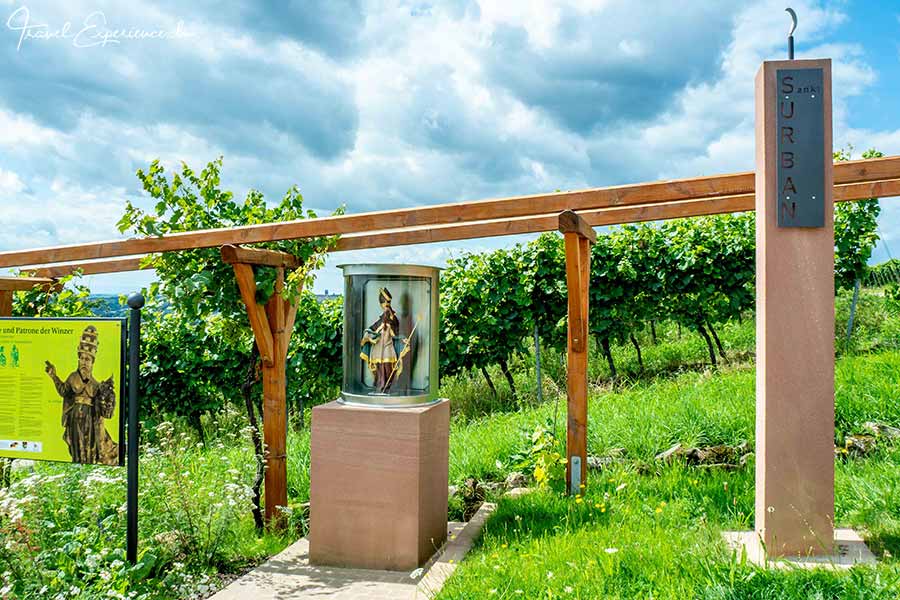 Südliche Weinstrasse, Weinlehrpfad