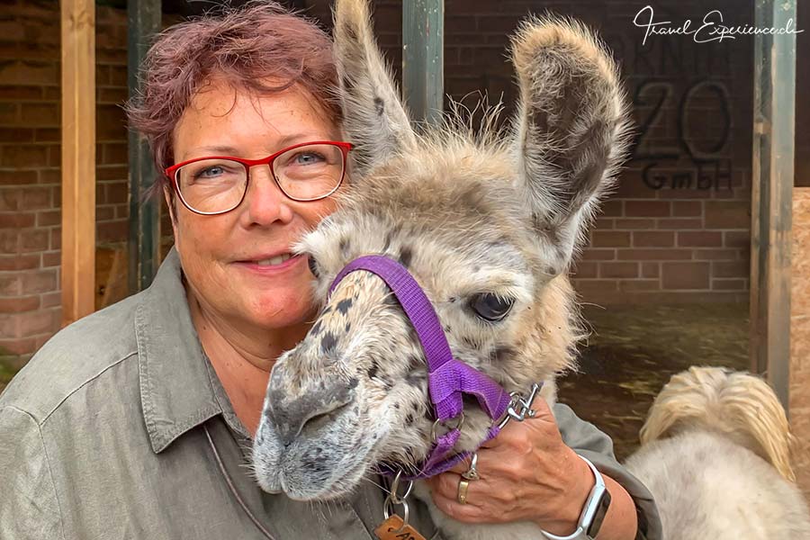 Südliche Weinstrasse, Pfalz-Lamas, Inge, Adele