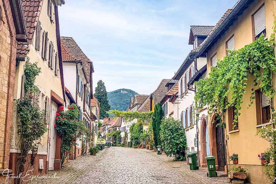 Südliche Weinstrasse, Rhodt, Rietburg