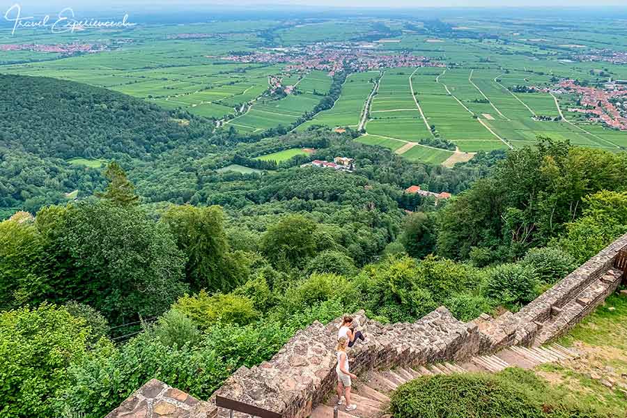 Südliche Weinstrasse, Rietburg