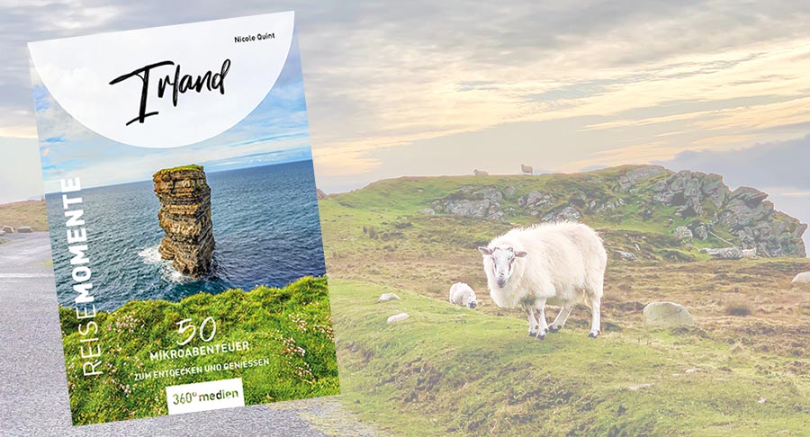 Buchcover Irland Reisemomente von Nicole Quint. Im Hintergrund Schafe an den Slieve Leagues