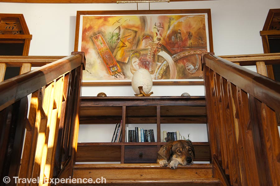 Hund auf Treppe im Amporaha Resort auf Nosy Be, Madagaskar
