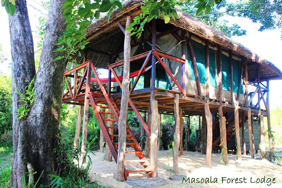 Aussenansicht des Baumhauses in der Masoala Forst Lodge, © Masoala Forest Lodge