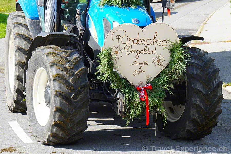 Detail, geschmückter Traktro der Rinderalpe Vergalden