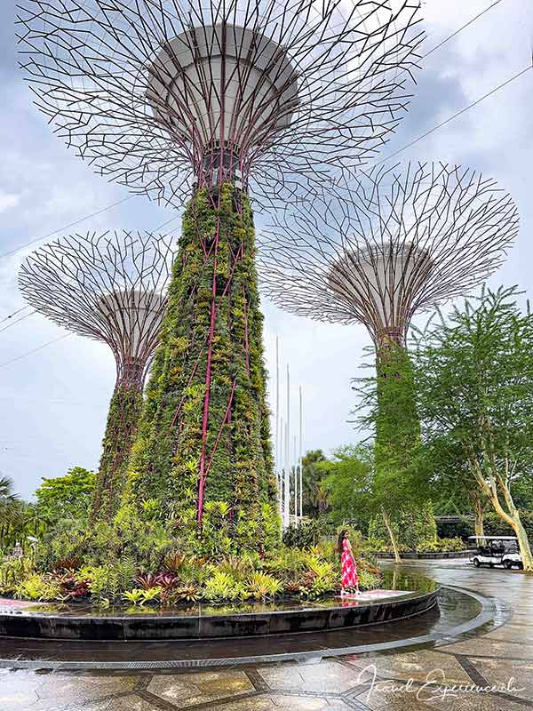 Baumartige Skulpturen am Eingang zu den Garden by the Bay, Singapur