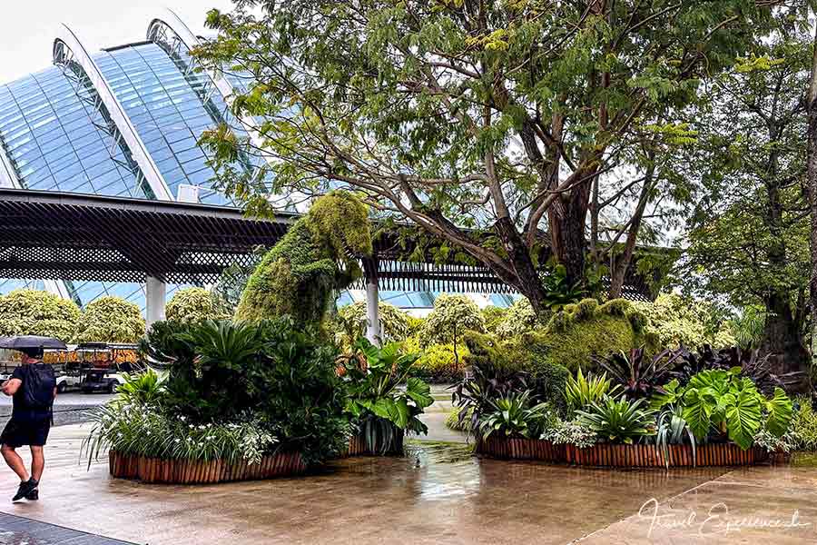 Dinosaurier aus Gewächsen, Eingang Garden by the Bay, Singapur