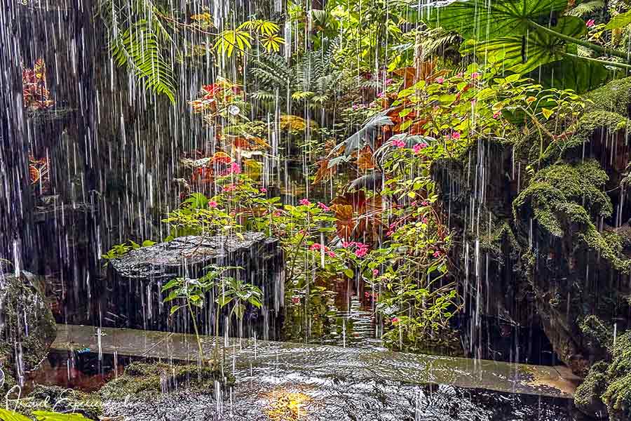 Regen und Pflanzen wie im Regenwald im Cloud Forest im Garden by the Bay in Singapur