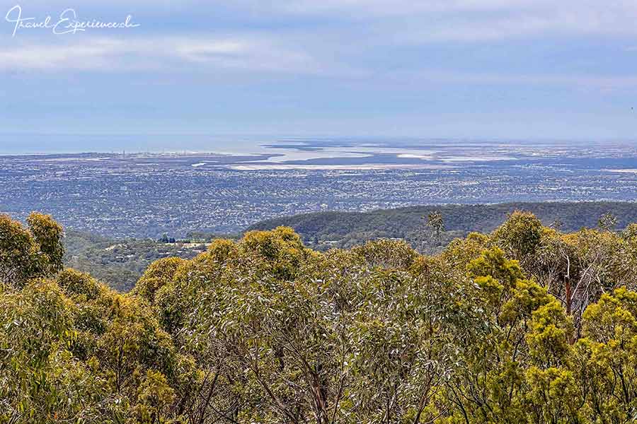 Aussicht auf Adelaide vom Aussichtspunkt Mount Lofty aus