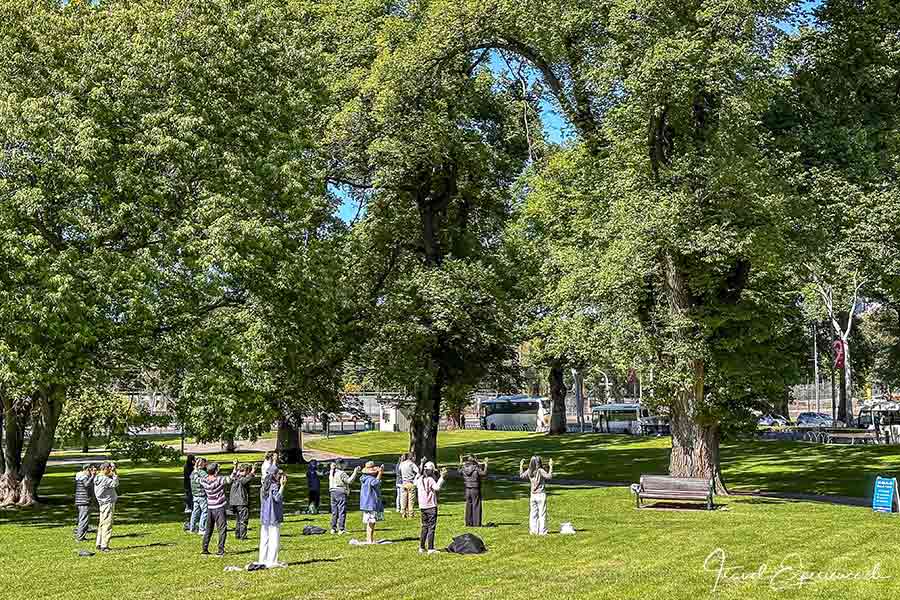Tai-Chi-Lektion im Royal Botanic Garden, Melbourne