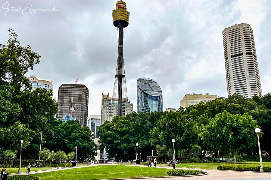 Blick vom Hyde Park auf das Sydney Tower Eye und die umliegenden Hochhäuser