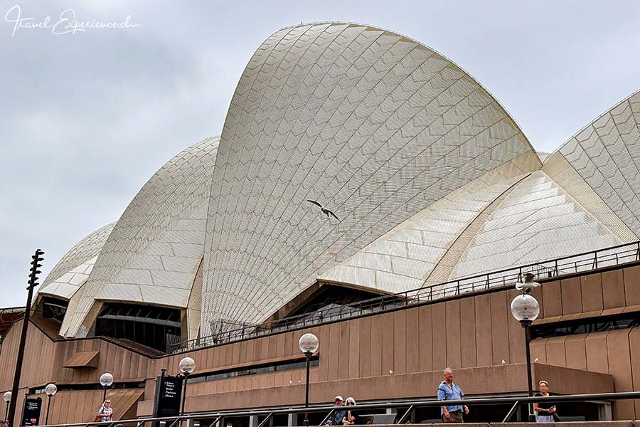 Aussenaufnahme der geschwungenen Dächer der Sydney Opera.
